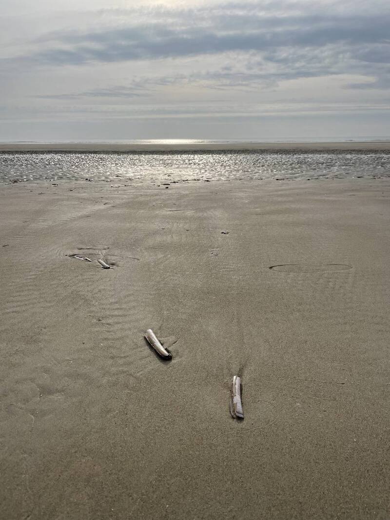 Coucher de soleil sur les dunes de Merlimont